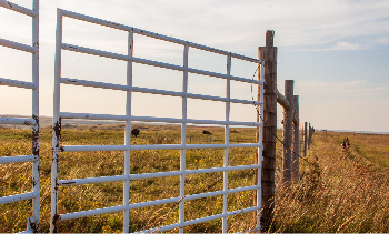 Acreage in Foothills County